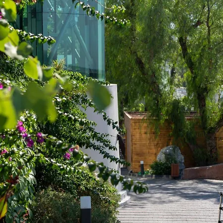 Blue Dreams Bodrum Torba