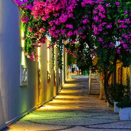 리조트 Blue Dreams Bodrum