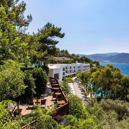 Blue Dreams Bodrum トルバ