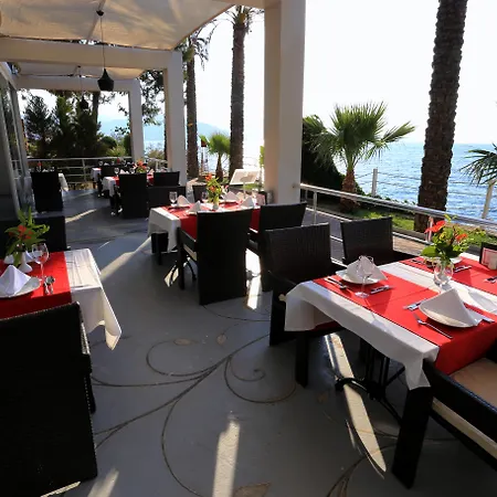 리조트 Blue Dreams Bodrum