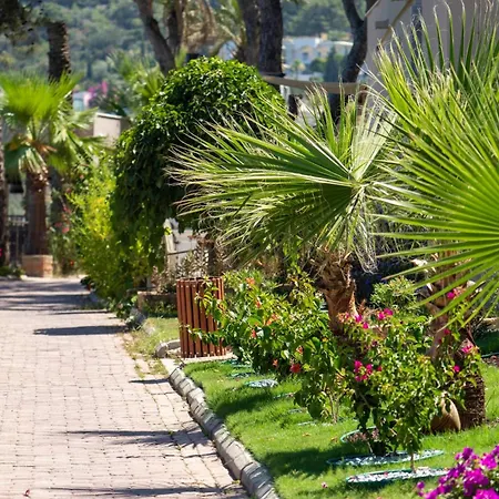 Blue Dreams Bodrum 5* Torba