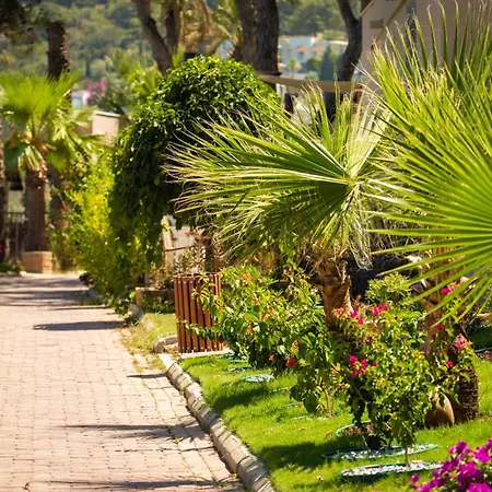 Blue Dreams Bodrum Complex