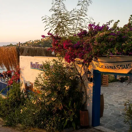 Blue Dreams Bodrum 5* Torba